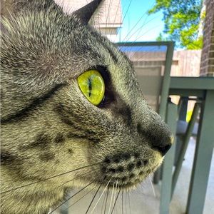 Meet your Posher, Bonnie